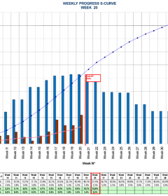 weekly progress s-curve